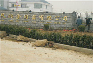 菇廠(chǎng)整廠(chǎng)設(shè)計(jì)